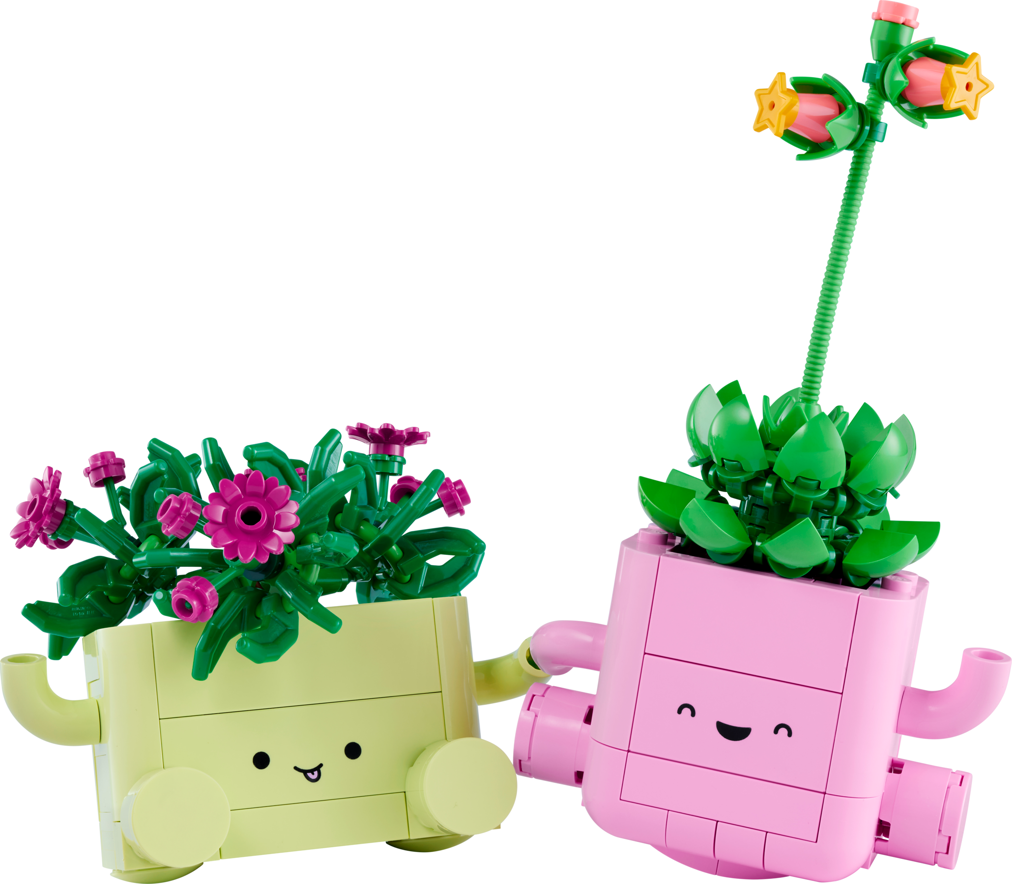 Cover image for LEGO Botanicals Rocking Plants (11506) Review: Cute, Affordable, and Worth It?